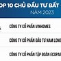 Cty Xklđ Ceo Hà Nội 2024 Mới Nhất Pdf Download