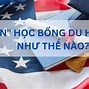 Du Học Hè Mỹ 2022 Là Gì ؟ 1 Năm 2024