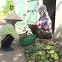 Nông Trại Sen Đà Nẵng