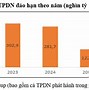 Tổng Quan Tình Hình Kinh Tế Việt Nam 2022